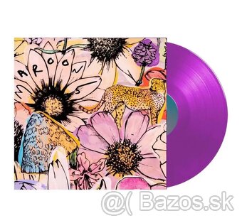 Maroon 5 vinyl - 3