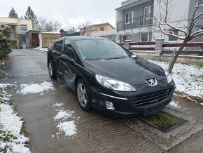 Peugeot 407 2.0 hdi - 3