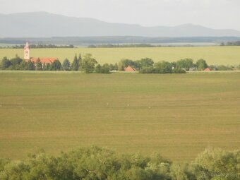 rekreačná záhrada s vinicou-Vráble ,Žitavce - 3