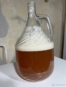 Kombucha nápoj - 3