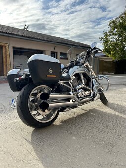 Harley Davidson Night Rod - 3