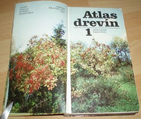 Atlas drevín 1 / Pôvodné dreviny / - 3