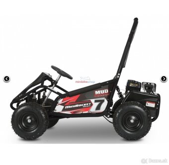 Buggy 98ccm - 3