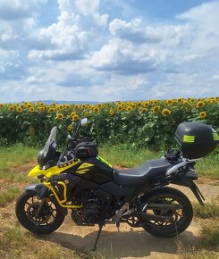 Suzuki V-Strom 250 na predaj - 3