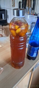 KOMBUCHA - 3