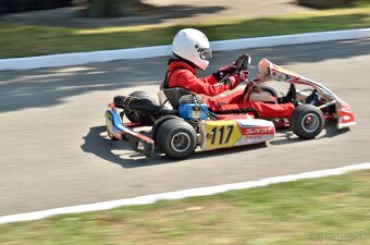 motokára Birel Easykart 100 ccm (24 koní 15000 ot./min) - 3