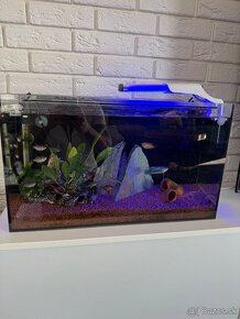 40L komplet zariadené akvarium - 3