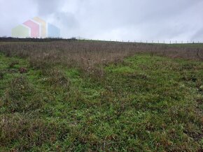 Pozemok na výstavbu,  4770 m2  - Dolný Lieskov (okr. Pov. By - 3