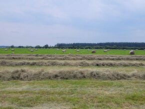 Seno - veľké okrúhle balíky z podhorskej oblasti - 3