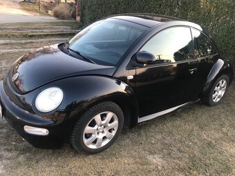 Predam New Beetle - 3