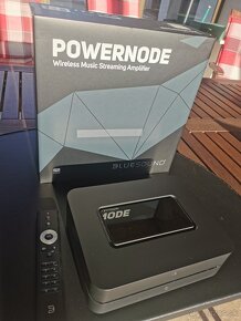 Bluesound POWERNODE - 3