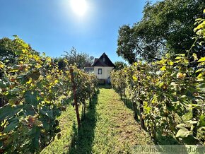 Viničný domček s vinohradom nad malebnou dedinkou Michal n - 3