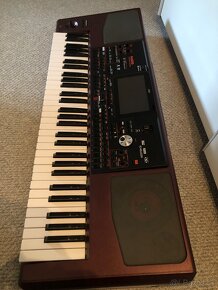 Korg pa 1000 - 3