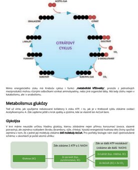 LF MUNI modelovky + testy + skripta - 3