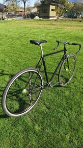 Bicykel Singlespeed Favorit Eska - 3