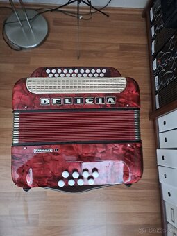 Heligonka harmonika - 3