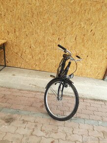 Dámsky bicykel Neuzer - 3