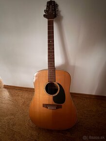 Takamine - 3