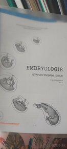 Histologie a embryologie VETUNI - 3