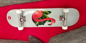 Skateboard - 3