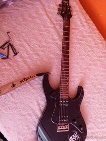 Schecter - 3