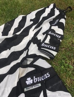 Deka Bucas buzz off riding zebra - 3