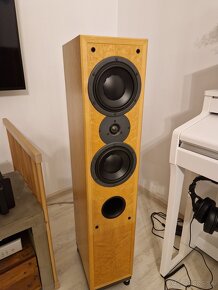 Dynaudio Contour T2.5 - 3