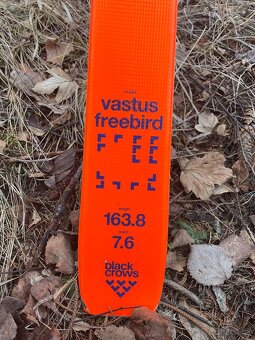 Black Crows Vastus FB - 3