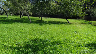 Krásny pozemok na rekreačné a pestovateľské účely, Mirkovce, - 3