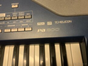 Korg Pa 800 - 3