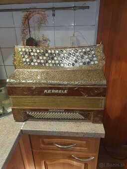 Knoflíkové harmoniky - 3