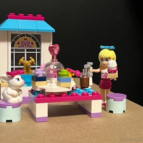 Lego Friends 41308 - 3