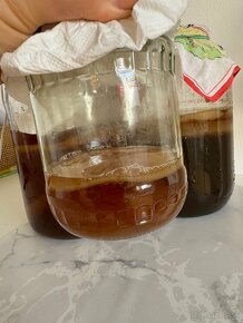 Kombucha - 3