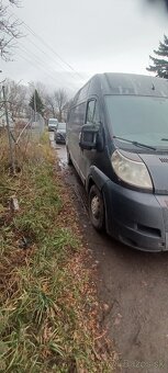 Predam citroen jumper 2.2 - 3