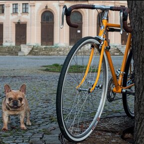 Štýlový retro bicykel Škoda Favorit - 3