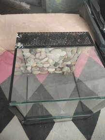 Darujem terarium 25x25x25 - 3