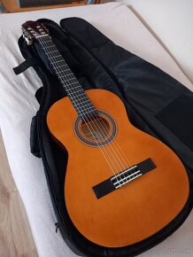 Gitara Valencia 3/4 velkost pre ziakov zus. - 3