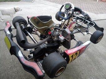 Motokara Rotax Max 125 MsKart - 3