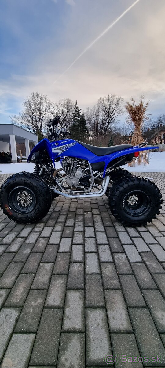 Yamaha Raptor 250