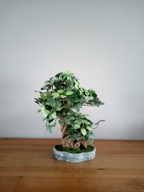 Bonsai umelý/dekorácia 12€ - 4