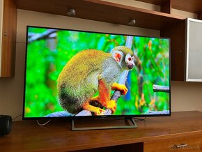 Sony Bravia KD-55XE7005 - 4