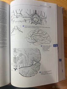 Feneisův obrazový slovník anatomie - 4