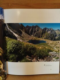 Tatry a kvety - 4