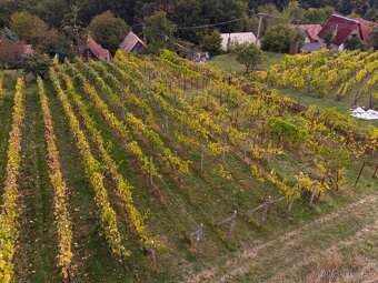 REZERVOVANÉ Hontianske Nemce – 554 m2 Pozemok na CHATU - 4