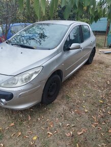 Peugeot 307 - 4