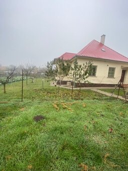 Rodinný dom 96m2 + samostatný dom 25m2 s garážou a terasou - 4