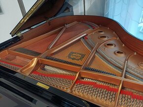 Klavír Yamaha C1 Disklavier - 4