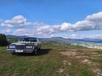 Lincoln town car 5.0 V8 Možná výmena - 4