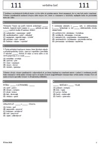 SCIO - 4