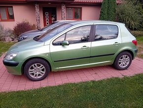 Predam peugeot 307 - 4